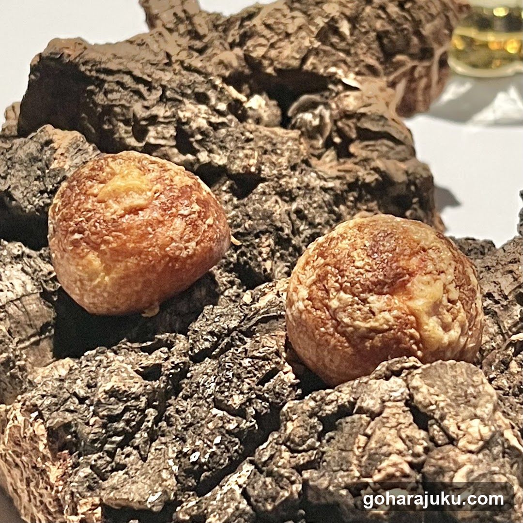 Fried Dough Balls on Bark