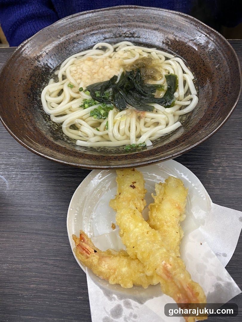 Udon Noodles with Tempura