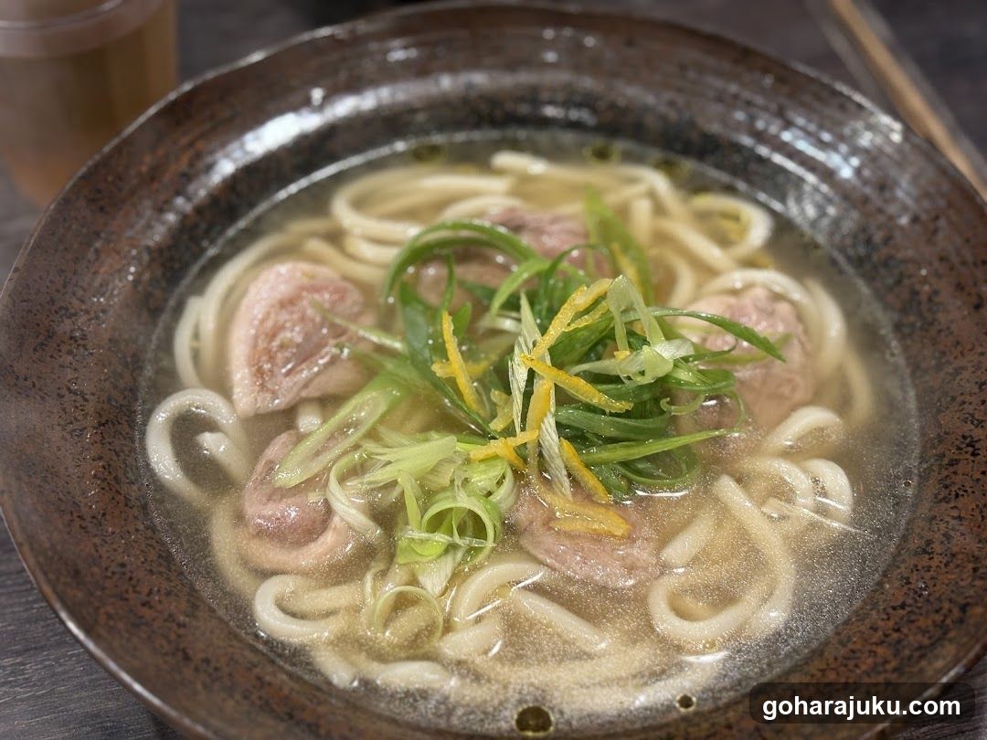 Udon Noodle Bowl with Tofu and Scallions