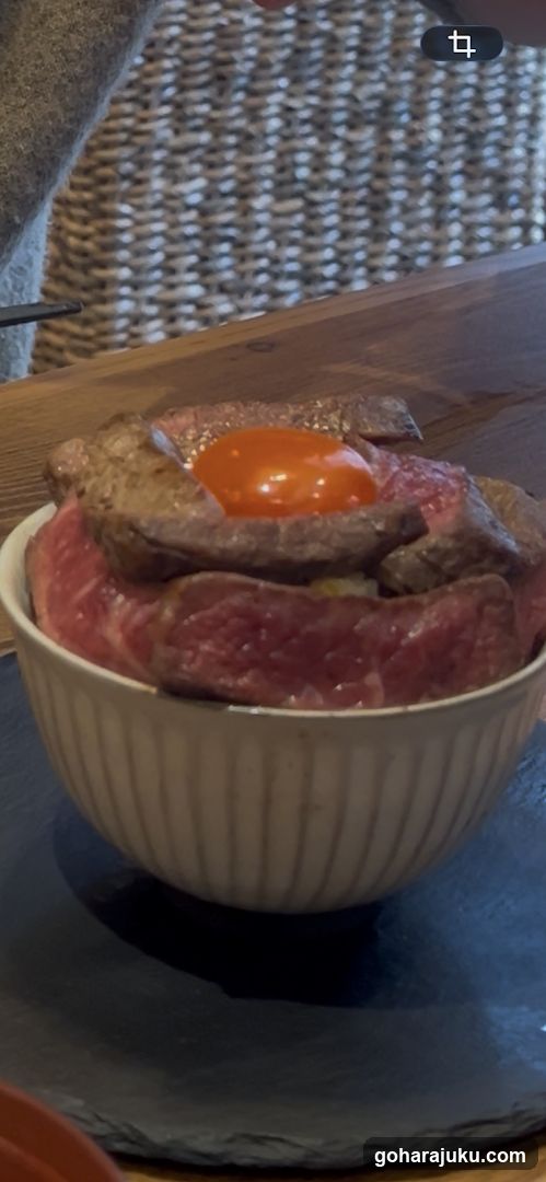 Steak Bowl with Raw Egg Yolk