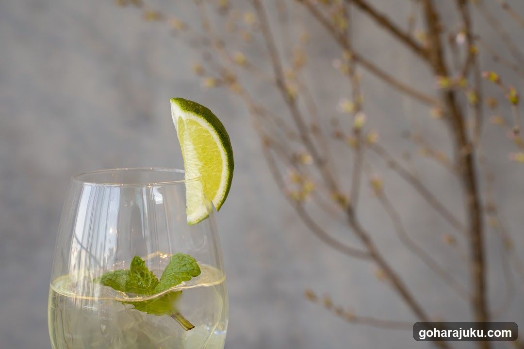Lime and Mint Cocktail