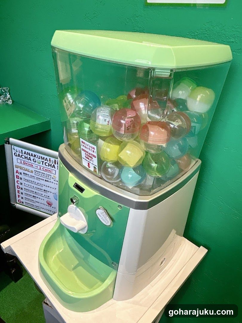 Gacha Machine with Gumballs