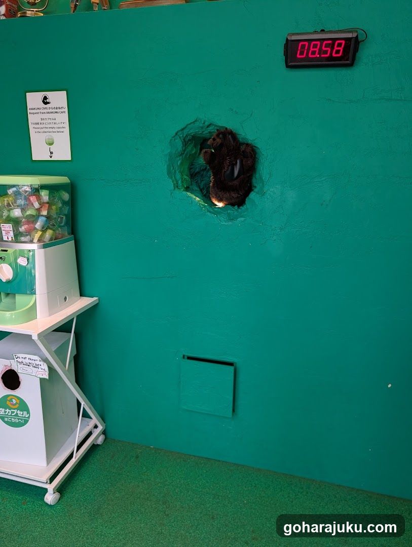 Gashapon Machine and Wall Display