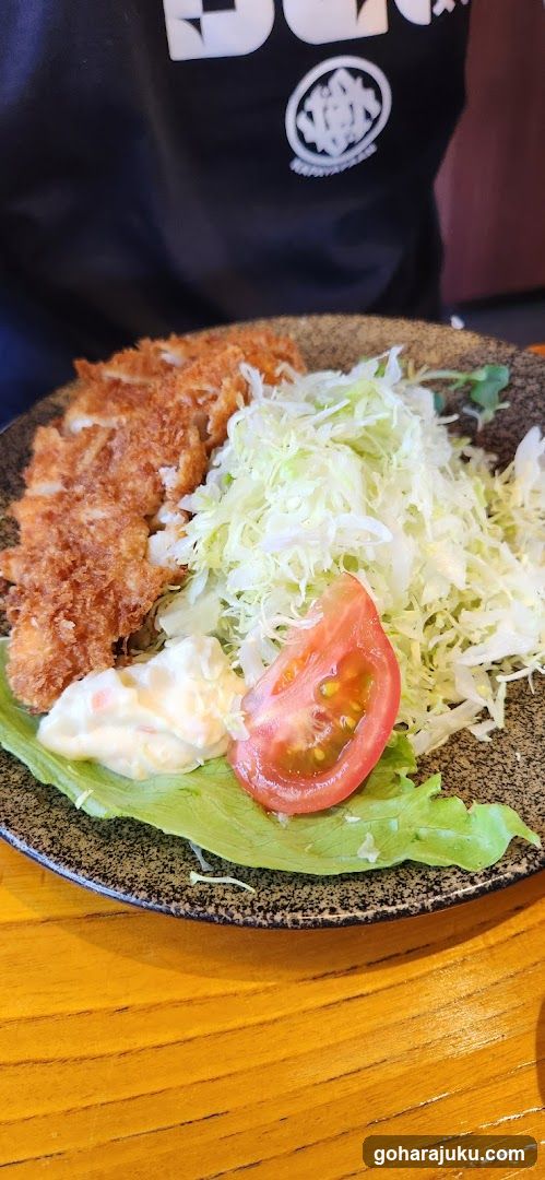 Katsu Plate with Salad