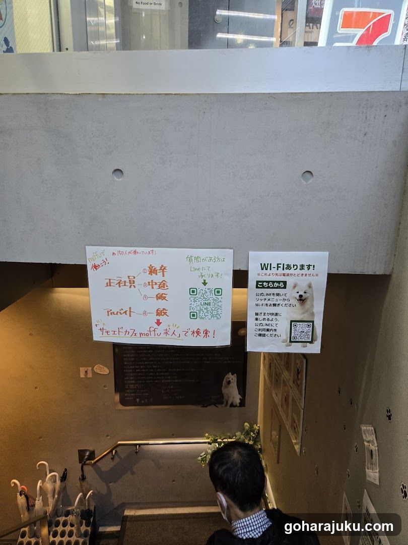 Samoyed Cafe moffu harajuku / Samoyed Lounge moffu