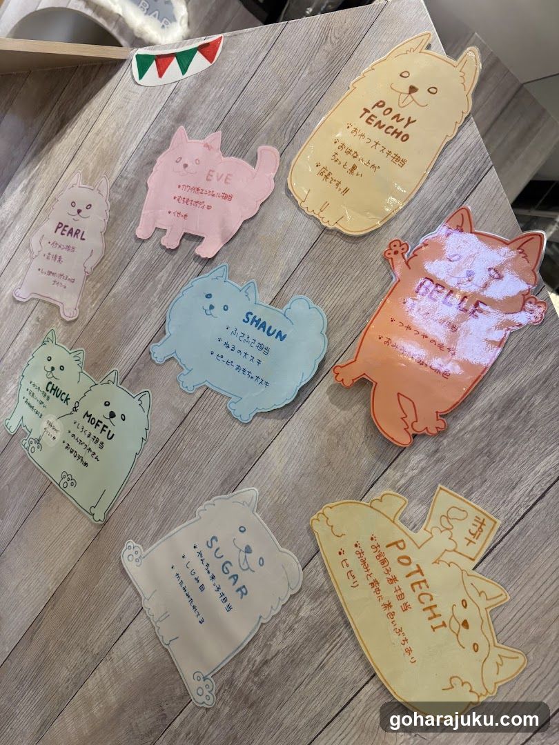 Cat-shaped name tags on wooden surface