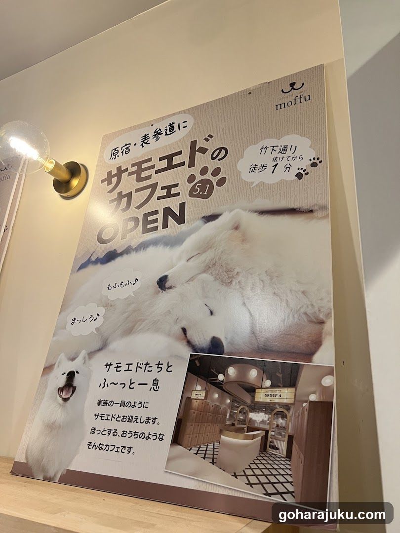 Samoyed Cafe Advertisement Poster