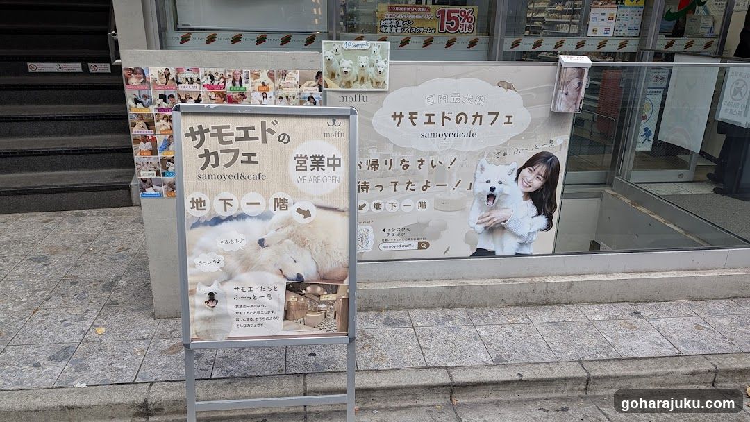 Samoyed Cafe Signage
