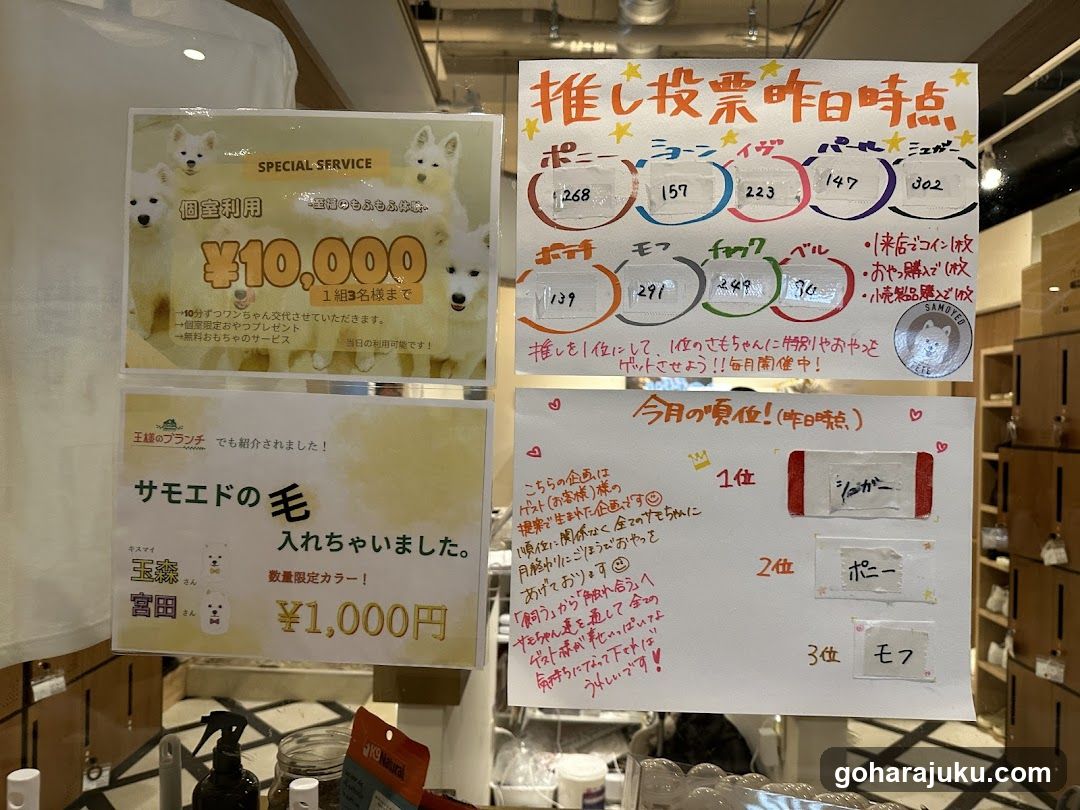 Pet Shop Interior Display