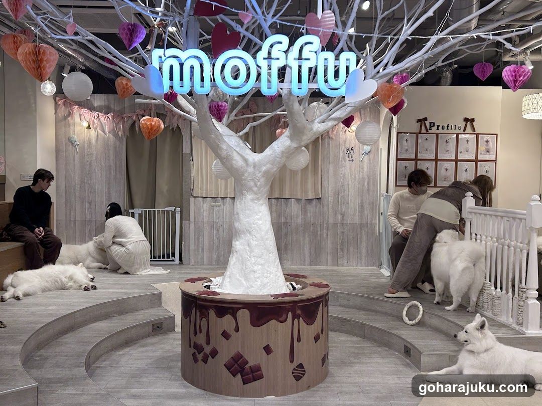 Moffu Interior Scene