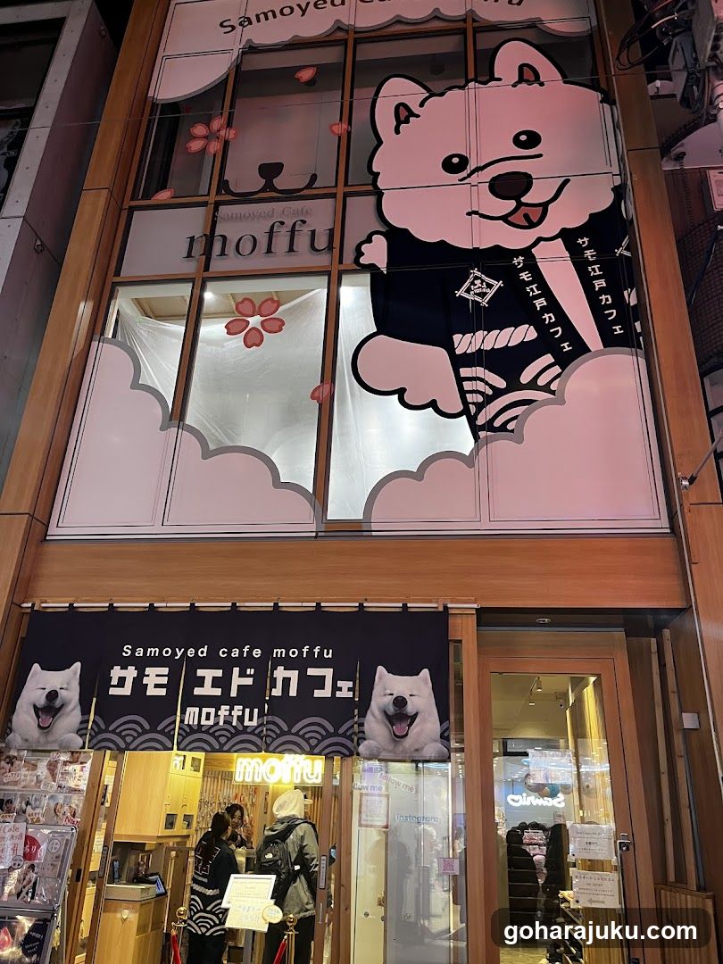 Samoyed Cafe moffu harajuku / Samoyed Lounge moffu