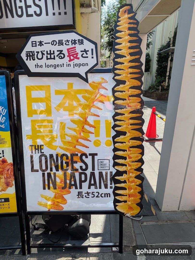 Longest in Japan Signage