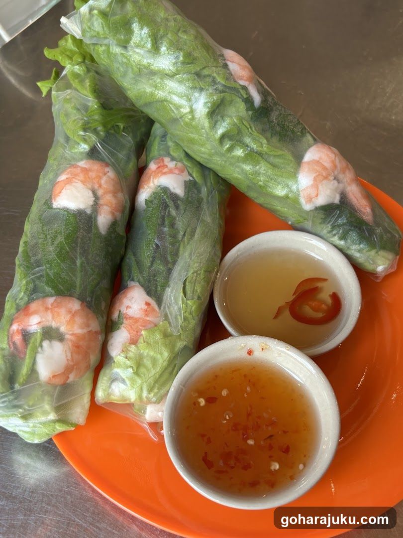 Spring Rolls with Dipping Sauce