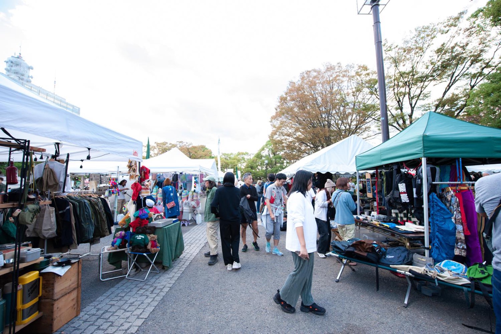 Crowd at Earth Garden Autumn, Yoyogi Park