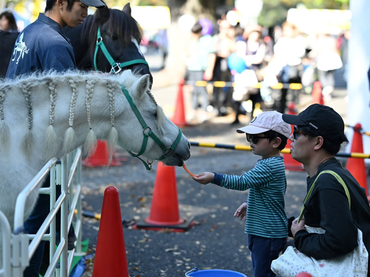 Pony encounter at a past Furusato Shibuya Festival in Yoyogi Park