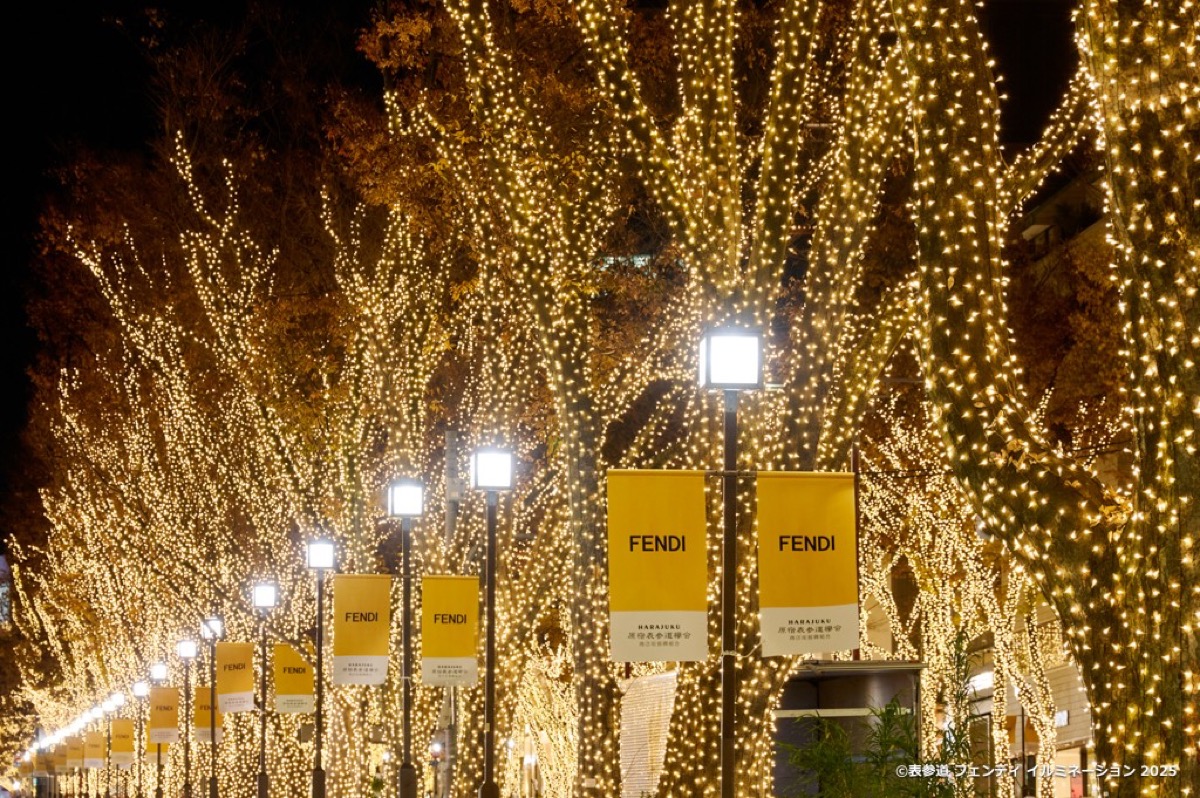 Omotesando Zelkova Illuminations