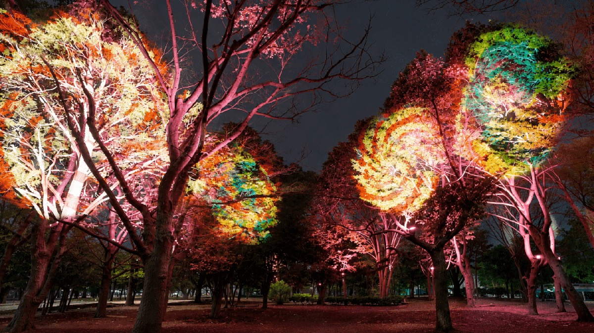 Floral Fantasia zone at Yoyogi Forest of Lights