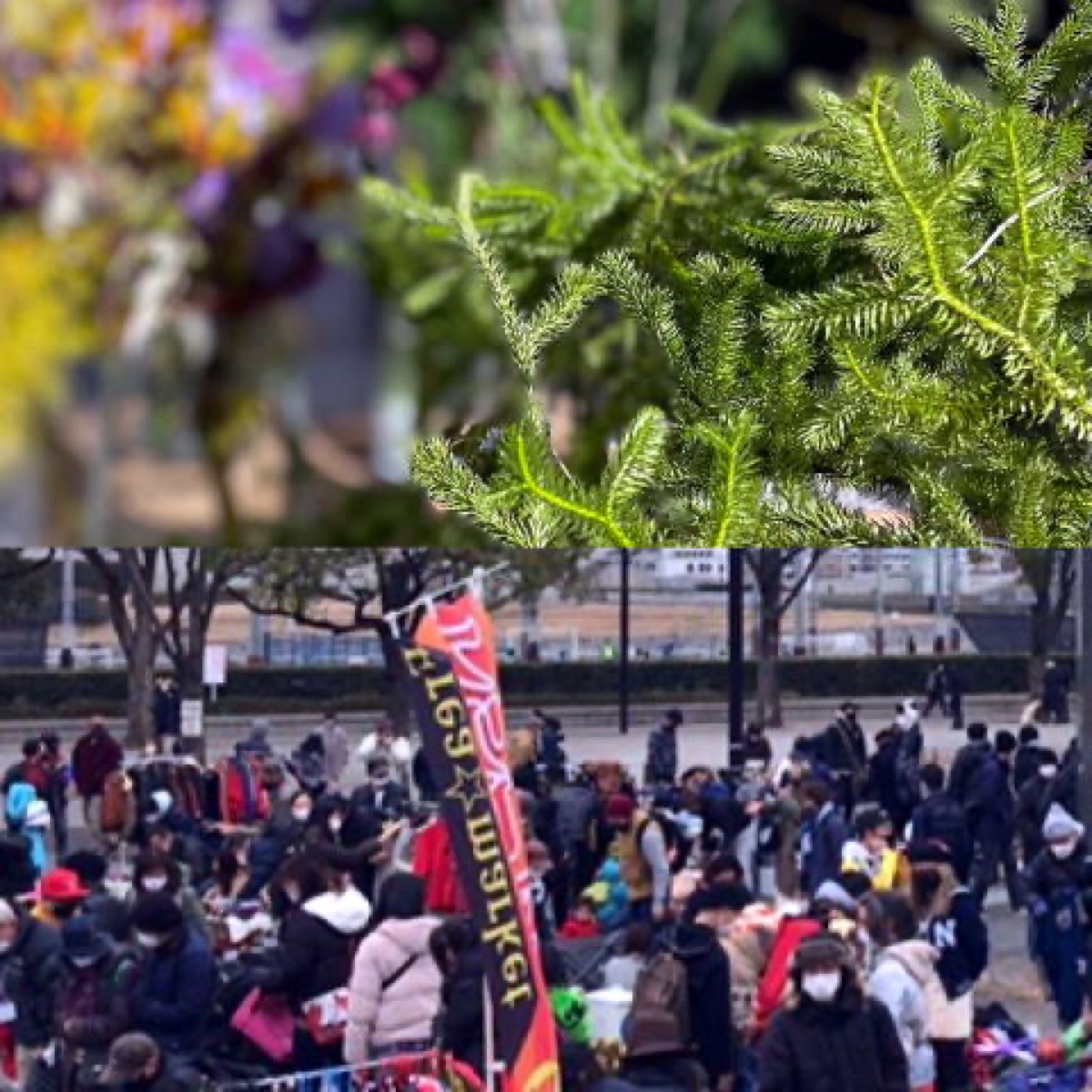Yoyogi Park Flea Markets