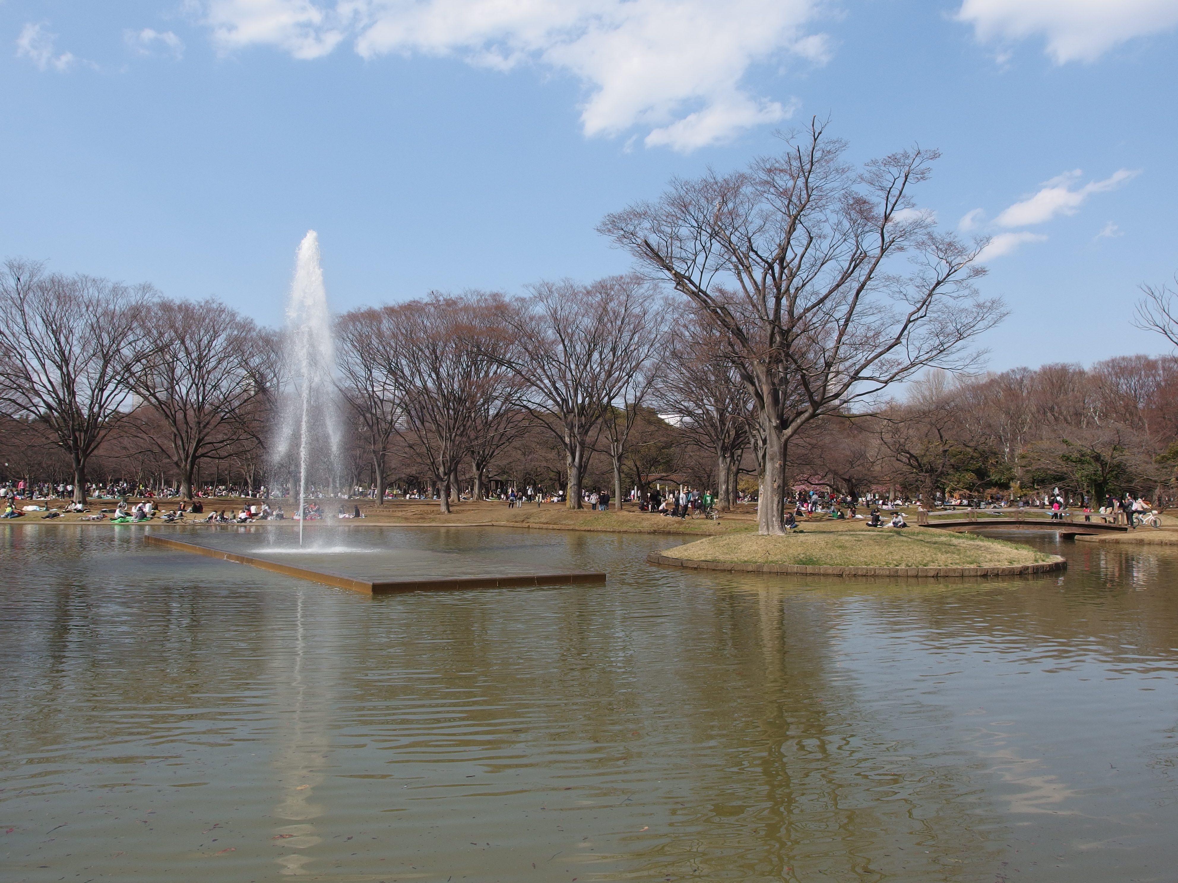 Yoyogi Park Summer 2026: Festivals, Food Stalls, and Free Events Next to Harajuku